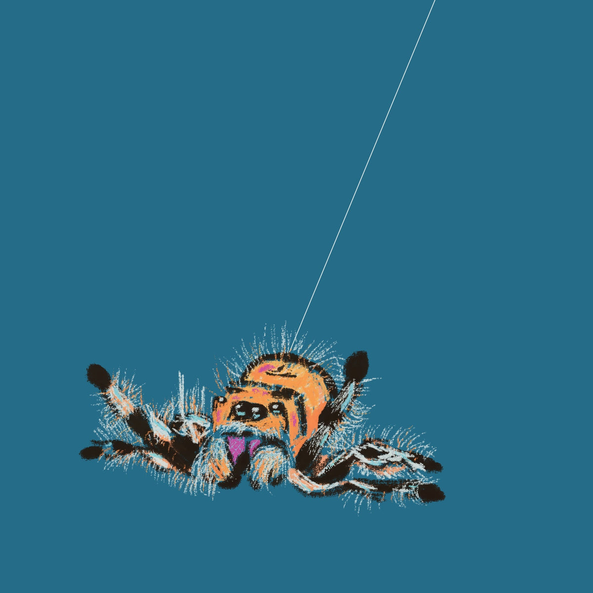 Flying spider Digital print